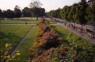 Jardin des Tuileries