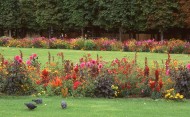 Jardin des Tuileries