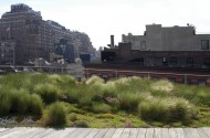 Terrasse à New York