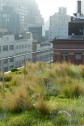 Terrasse à New York