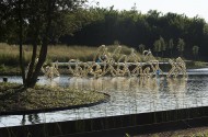 Bosquet du Théâtre d'Eau - Château de Versailles